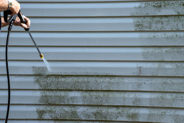 Best Construction Debris Removal  in Lake Grove, NY